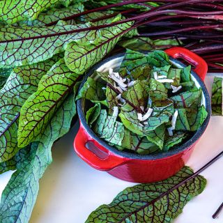 Close-up view of a tangy Bloody Dock Sorrel salad in a red dish with leaves in the background.
