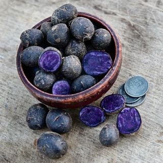 Sliced and whole Adirondack Blue Micro Tubers in a bowl with pennies on a wood background.