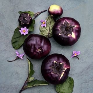 Qi Ye Round Eggplants with leaves and blooms on jade background.