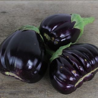 Trio of Black Beauty Eggplants.