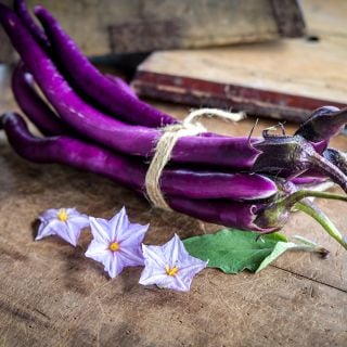 Chinese String Eggplant with flowers