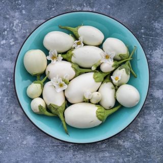Japanese White Egg Eggplants in blue bowl.