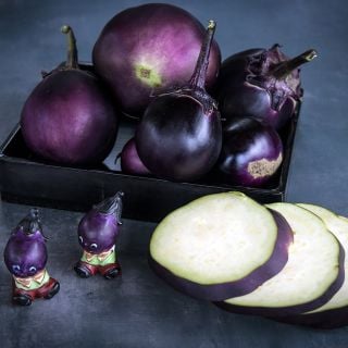 Kamo Eggplant with slices and decorative shakers.
