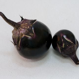 Duo of Kamo Eggplant on white background.