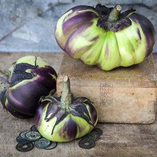 Nagaoka Kinchaku Eggplant in multiple colors.
