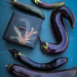 Nagasaki Long Eggplant with decorative box lid on blue background.