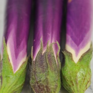 Ping Tung Eggplant