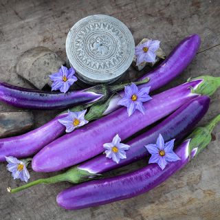 PIng Tung Eggplant with decorative tin and blooms.