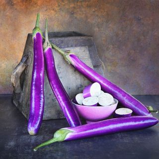 Ping Tung Eggplant against wooden prop and brown background.