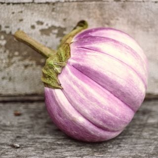 Rosa Bianca Eggplant