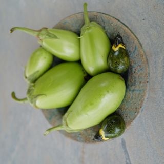Shiromaru Eggplants in splatter printed bowl.