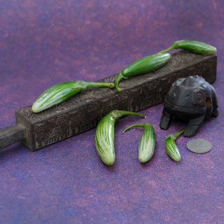 Thai Green Frog Fingers Eggplant with statue frog.