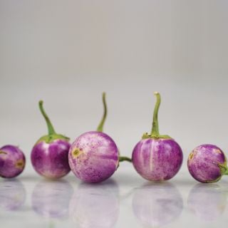 Thai Lavender Frog Egg Eggplants on marbled, reflective countertop.