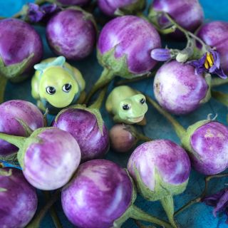 Thai Lavender Frog Egg Eggplants with colorful ceramic frogs.
