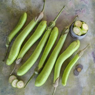 Thai Long Green Eggplant with slices.