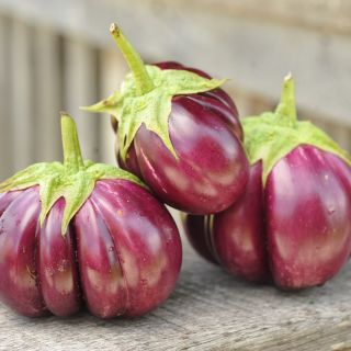 Thai Purple Ribbed Eggplant on Baker Creek porch railing.