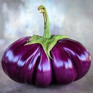 Thai Purple Ribbed Eggplant Close-up