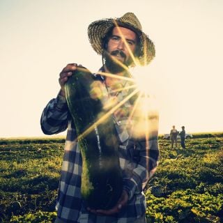 Man holding a freshly harvested Giant Bullet Head Wax Melon at the Baker Creek Seeds trial farm in California.