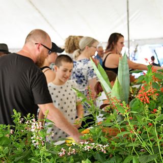 A crowd admires the flowers at the Baker Creek Fall Harvest Festival.