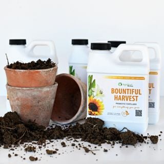 Bountiful Harvest Prebiotic Fertilizer bottles with terra-cotta pots and soil on white background.