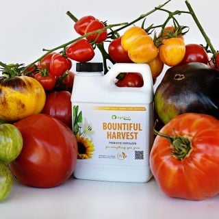 A single Bountiful Harvest Prebiotic Fertilizer bottle surrounded a bountiful pile of heirloom tomatoes on a white background.