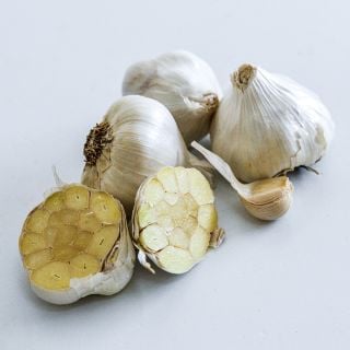 Chet's Italian Garlic bulbs with a halved bulb and a clove on a white background.