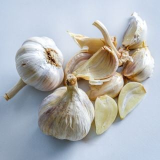German Extra Hardy Garlic bulbs and cloves on light background.