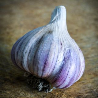 A single Persian Star Garlic bulb on a wooden background.
