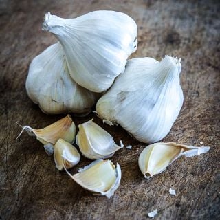 A trio of Transylvania Garlic bulbs with cloves on a wooden background.