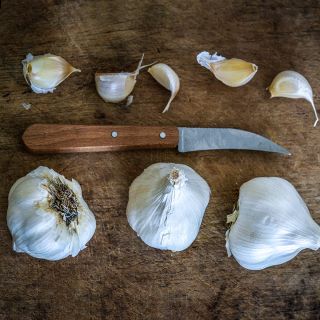 Transylvania Garlic bulbs and cloves with a knife on wood background.