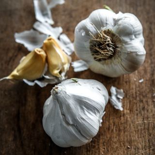 A close-up view of Transylvania Garlic bulbs and cloves on a wood background.