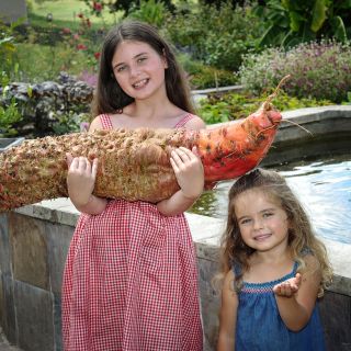 A couple of adorable girls smilling while holding a  Mammoth Red Mangel Beet in the garden at Baker Creek.
