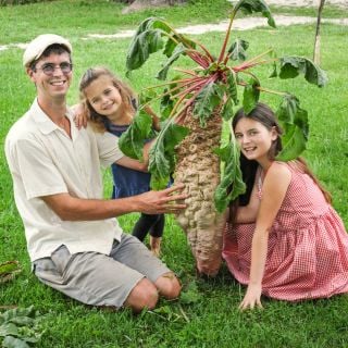 Jere Gettle with a couple of his daughters smile while holding a  Mammoth Red Mangel Beet on the front lawn.