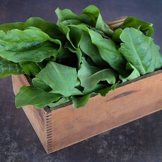 Green De Belleville Sorrel