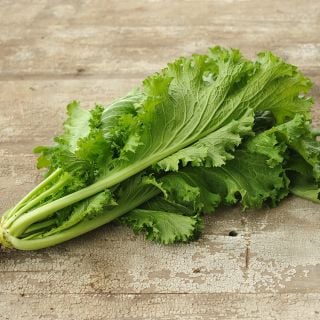 Southern Giant Curled Mustard on countertop.