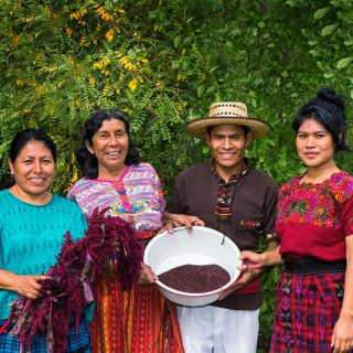 Guatemalan Seed Savers from nonprofit Qachuu Aloom show the seed harvest from Hopi Red Dye Amaranth.