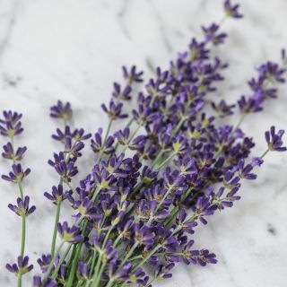 Lavender sprigs on marble countertop.