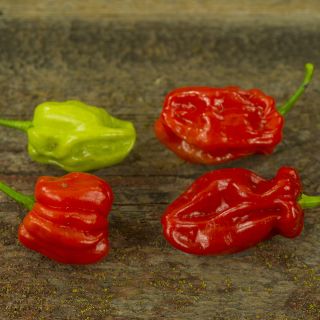 Four Tobago Seasoning Peppers on wooden tabletop.