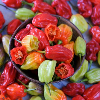 Tobago Seasoning Peppers in bowl, whole and halved.