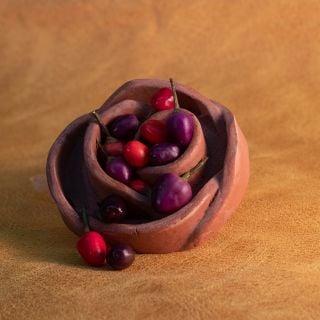 Filius Blue Peppers in decorative, flower shaped container on brown background.