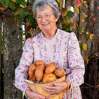 A gardener smiles while holding a big basket of fresh harvested Pumpkin Yam Sweet Potatoes.