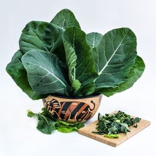 An arrangement of Sahara Kale leaves in a handmade African bowl on a white background. 
