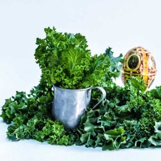 Dwarf Siberian Kale in a tin cup on a white background.