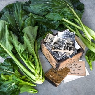 A couple of heads of Spinach Mustard "Old Tokyo" Komatsuna with a wooden box of pictures.