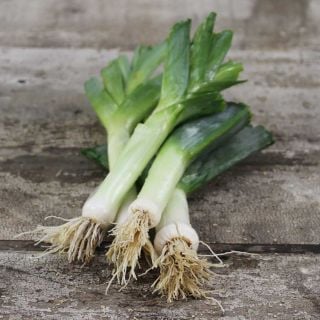 Four Autumn Giant Leeks in a pile on a wooden board.
