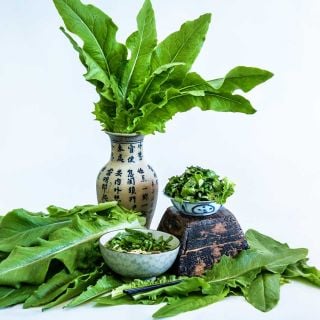 Chinese Narrow Leaf Lettuce in a vase behind two bowls of salad greens with loose leaves on the side.