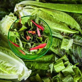 Close-up of a small green bowl of Devil's Ear Lettuce salad with petals from a red flower found within a head.