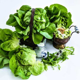 A bowl of Gustav's Salad Lettuce in a basket and a bowl of salad on a white background.  