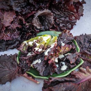 Merlot Lettuce around a bowl of merlot salad.