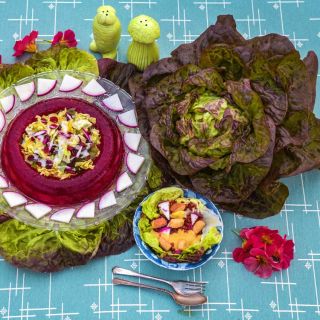 Merveille des Quatre Saisons head on a set table of salads on a blue tablecloth.